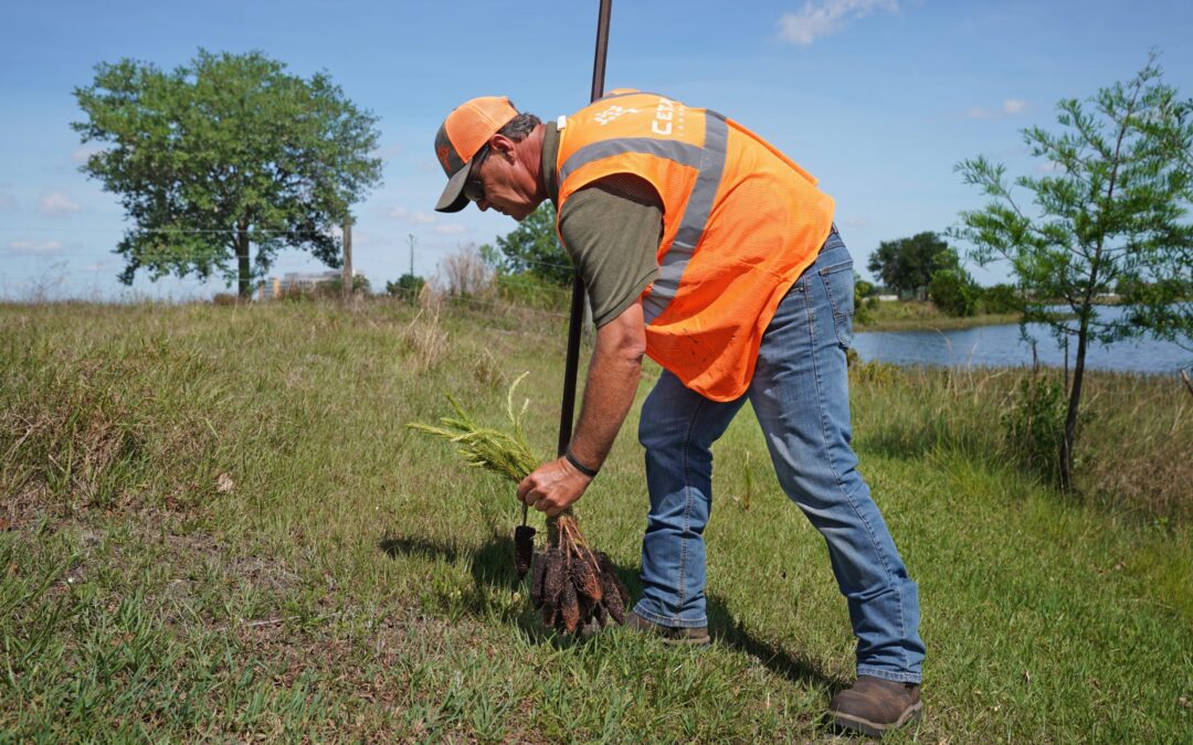 Planting Seeds for Students