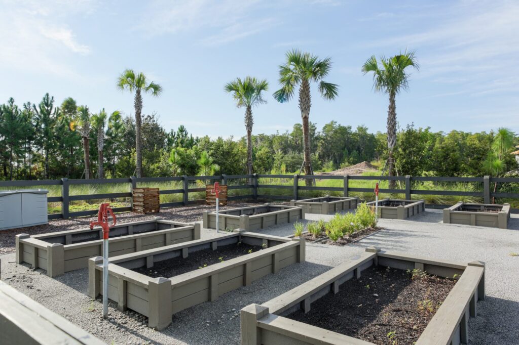 20161001 NONA 0013 2000x1333 2