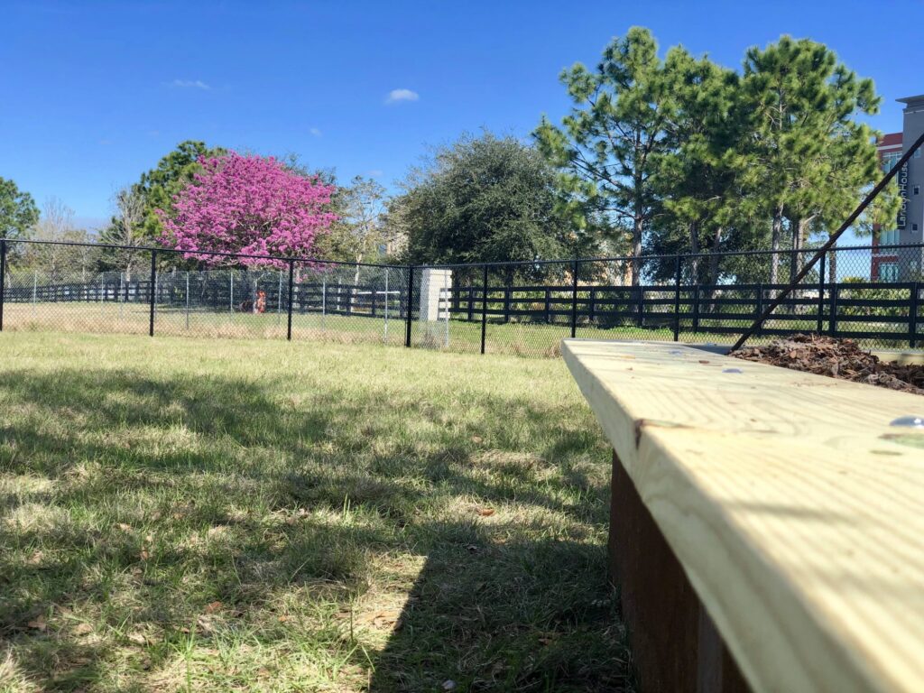 Boxi Park is One of a Kind 7