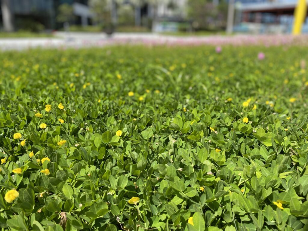 Extraordinary Ecosystem