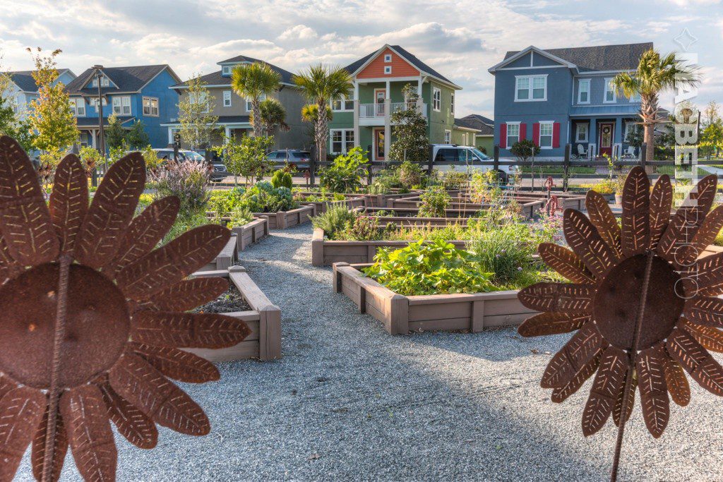 CommunityGardenFlowers