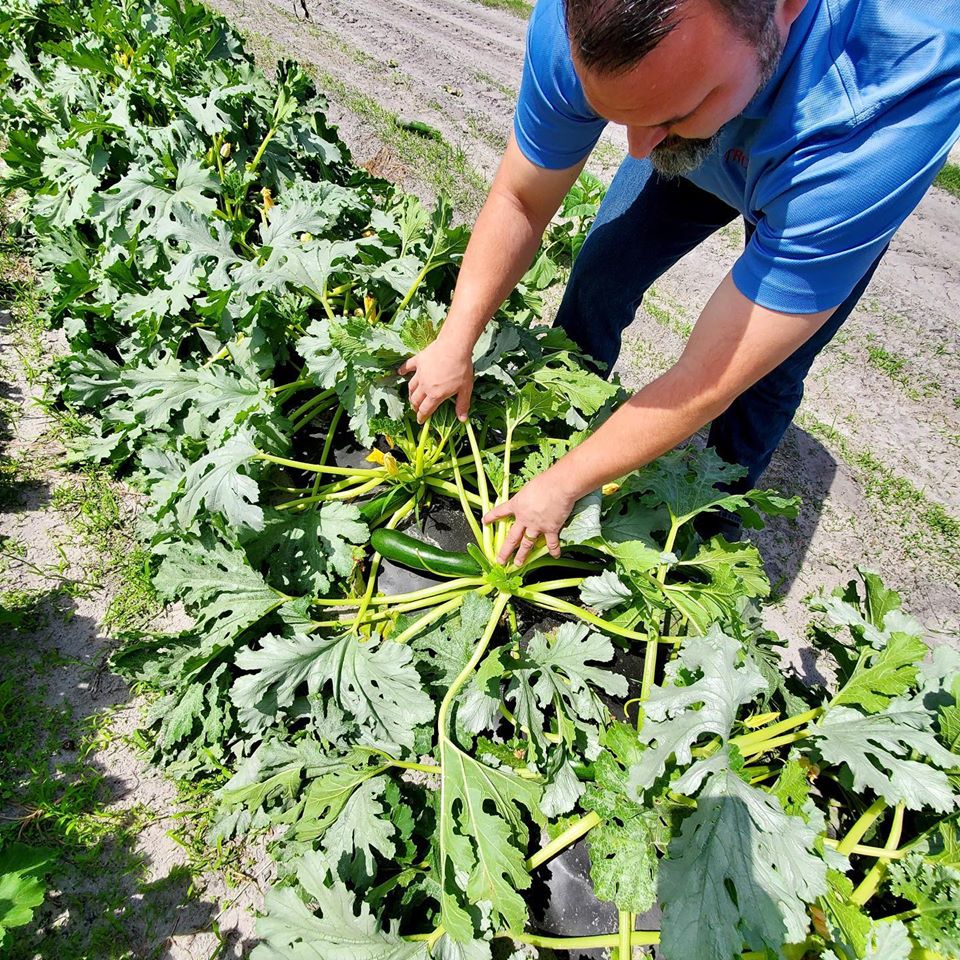 Farm Fresh Meals 3