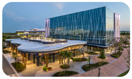 LNWebsiteRoundedImages 04 1